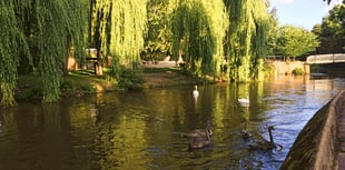 Cocktail of harmful chemicals found in the River Wey Catchment