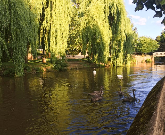 Cocktail of harmful chemicals found in the River Wey Catchment