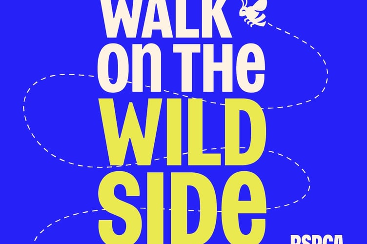 RSPCA Walk on the Wild Side