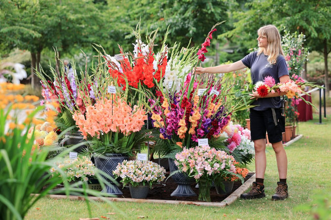 RHS Wisley Flower Show 2024