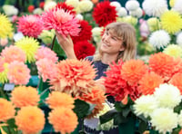 RHS Wisley Flower Show blooms despite unkind weather