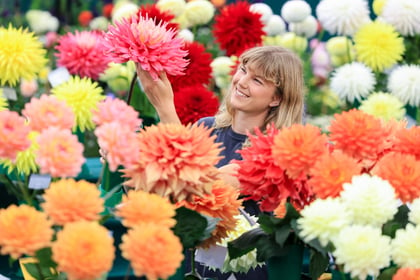 RHS Wisley Flower Show blooms despite unkind weather