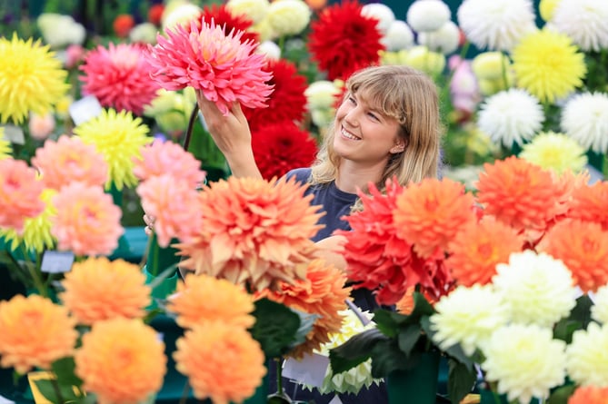 Wisley Flower Show 2024