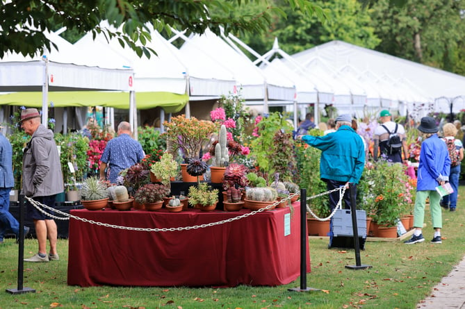 RHS Garden Wisley Flower Show 2024