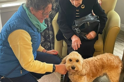 Horsell Lodge marks National Hug A Hound Day