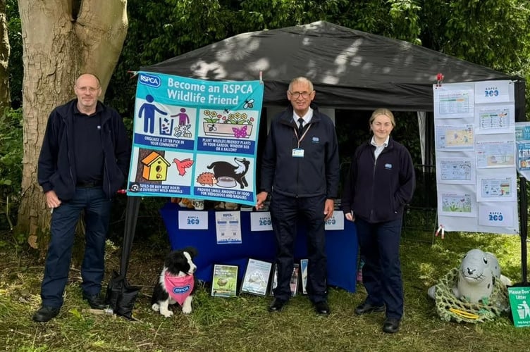 RSPCA Wildlife Friend volunteering