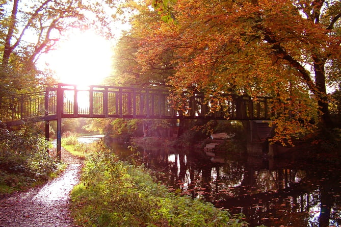 Autumn colours on Basingstoke Canal in St John's