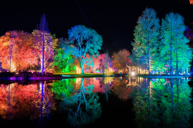 RHS Wisley Glow 2023