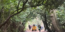 Brookwood Cemetery remembered