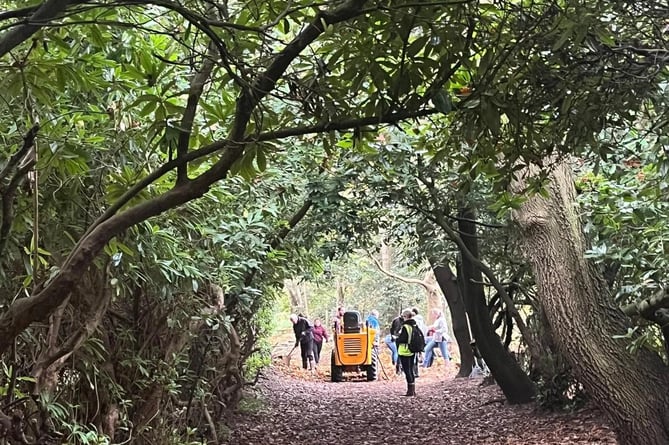 Brookwood Cemetery clean up day 2024