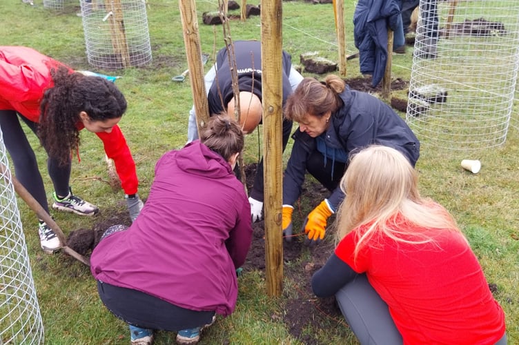 Knaphill Orchard