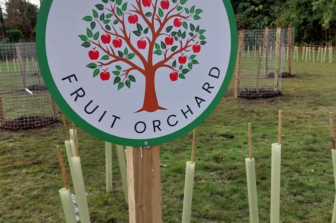 Knaphill Orchard