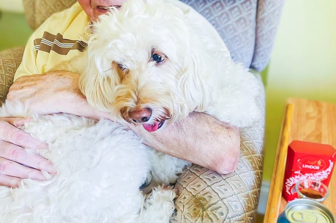 Bernard Sunley resident, Kenneth Inwood with Jazz the dog