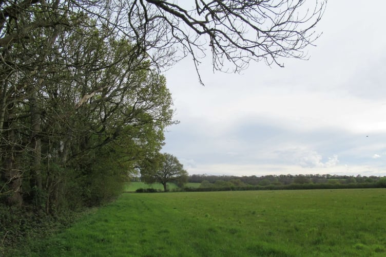 View from Little Misley, one of the fields set to have solar panels.