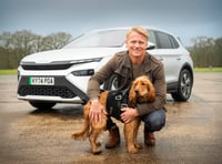 VIDEO: Dogs prefer electric cars over petrol - Study explains why